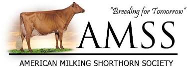American Milking Shorthorn Society