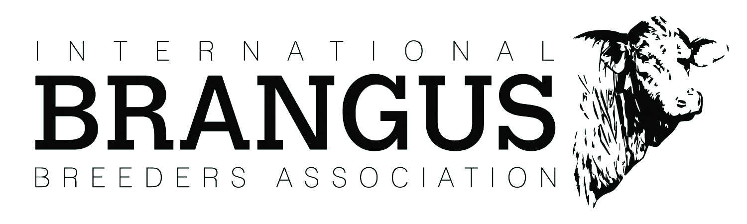 International Brangus Breeders Accoiation