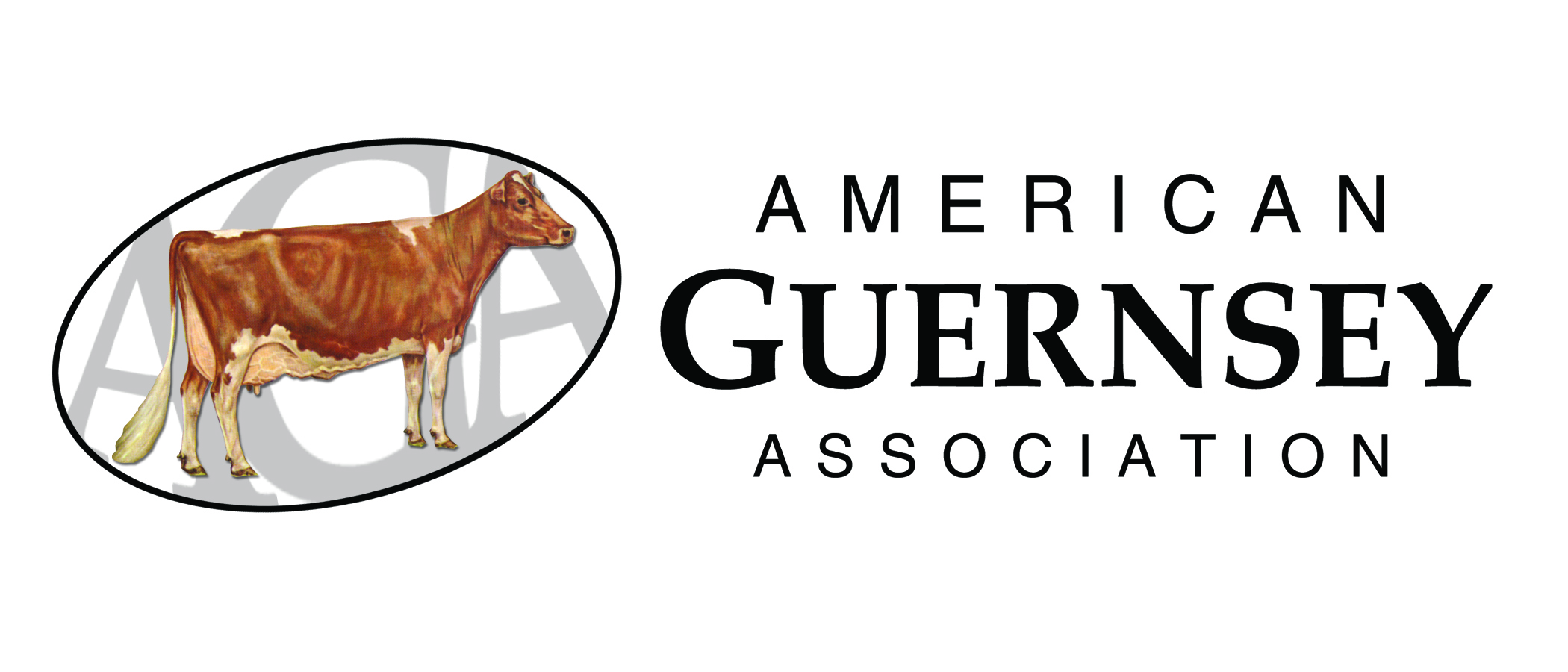 American Guernsey Association