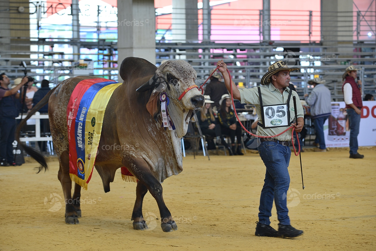 XXIII Agroexpo Corferias 2021