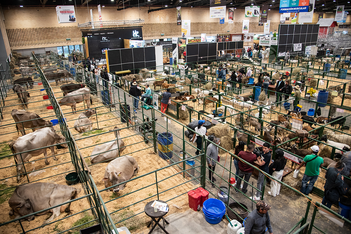 XXV Agroexpo Corferias 2025