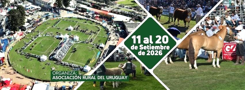 Rural del Prado 26